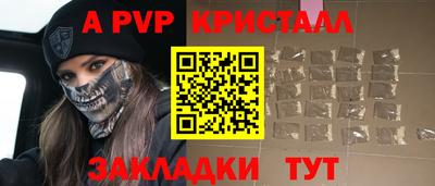 прущие грибы Будённовск