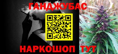 прущие грибы Будённовск