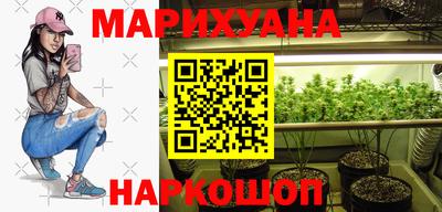 прущие грибы Будённовск